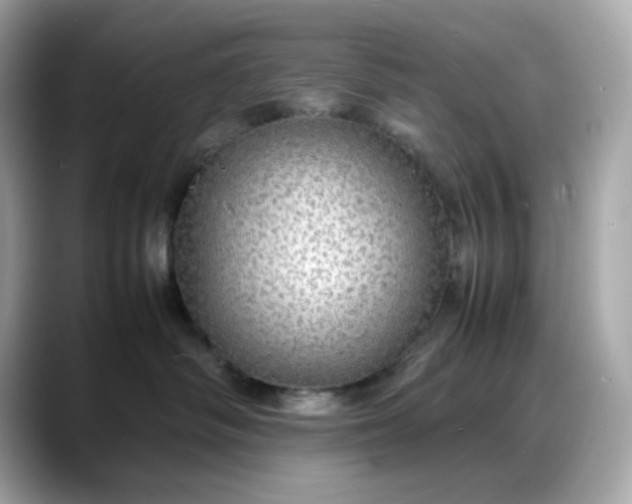 X0000088370334200706051046