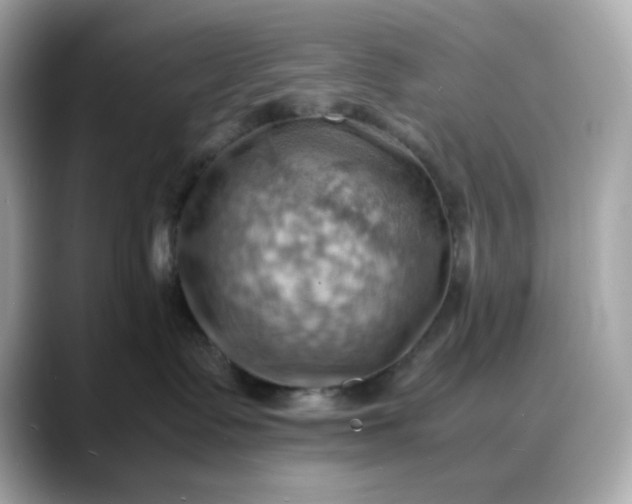 X0000088370335200706051046