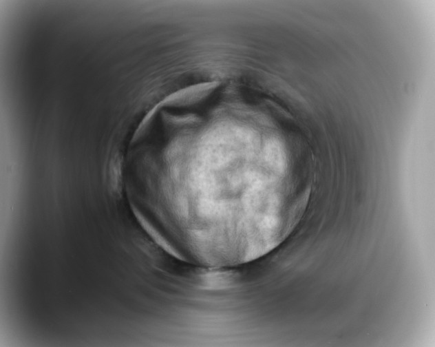 X0000088370336200706051046