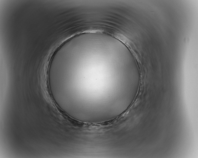 X0000088370337200706051045