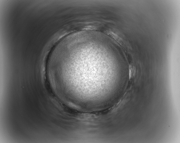 X0000088370339200706051045