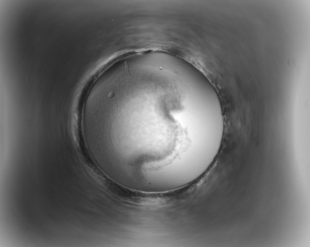 X0000088370342200706051045