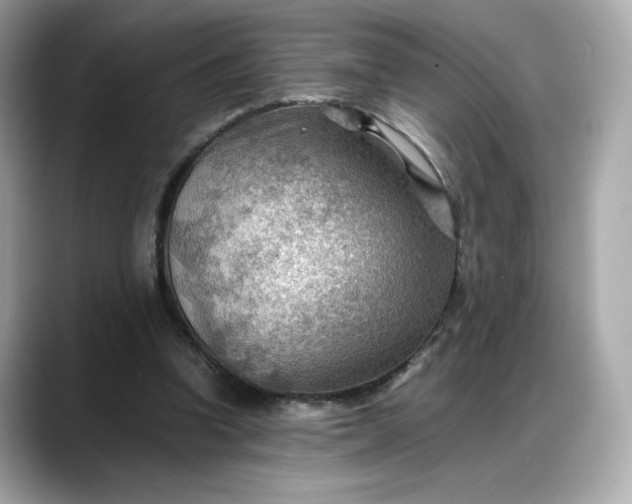 X0000088370346200706051045