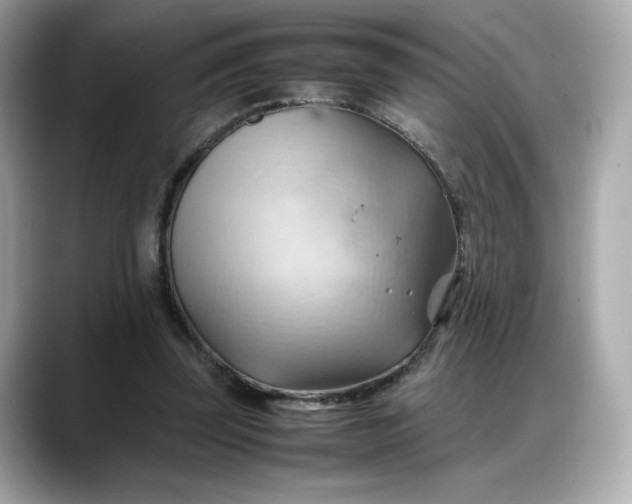 X0000088370347200706051045