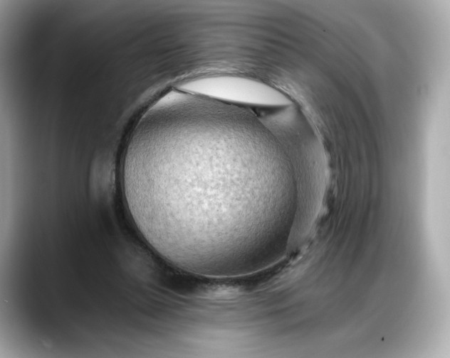 X0000088370348200706051045
