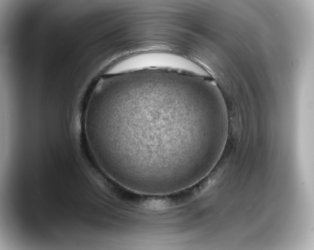 X0000088370350200706051045