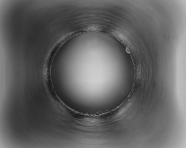 X0000088370351200706051045