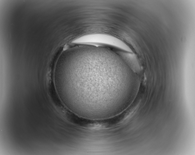 X0000088370356200706051045