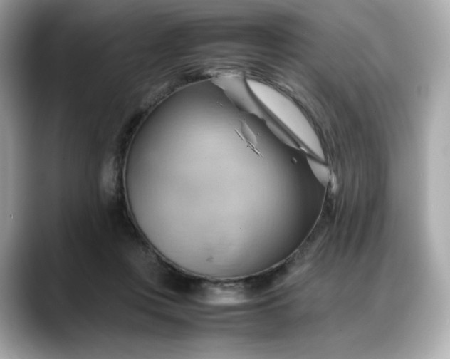 X0000088370359200706051045