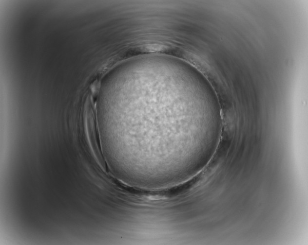 X0000088370360200706051045