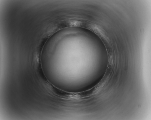 X0000088370363200706051045