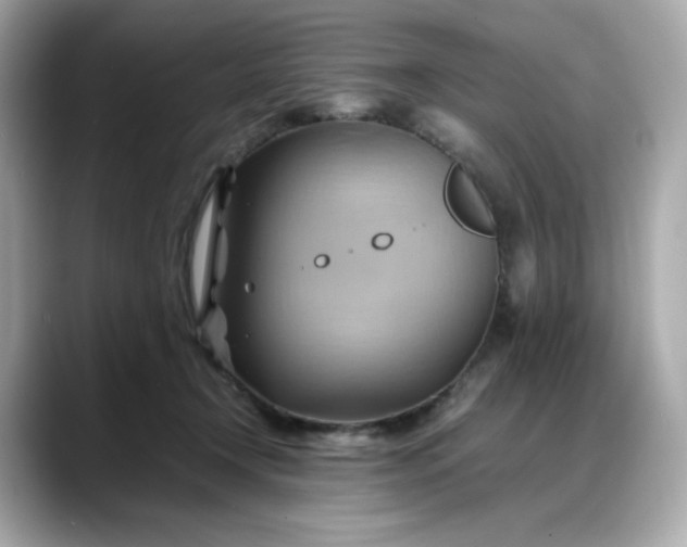 X0000088370366200706051045