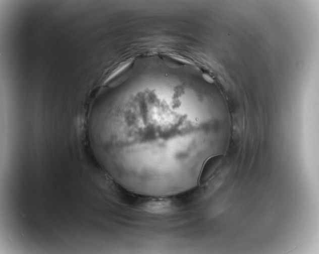 X0000088370369200706051045