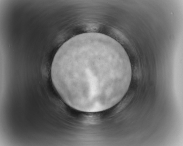 X0000088370370200706051045