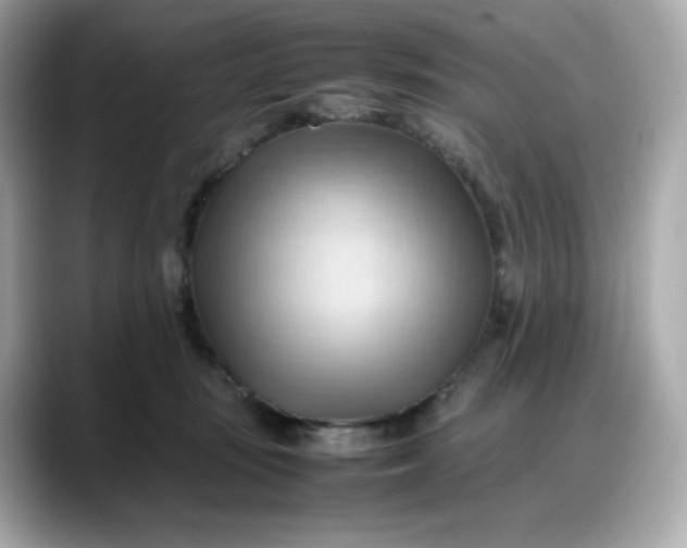 X0000088370371200706051045