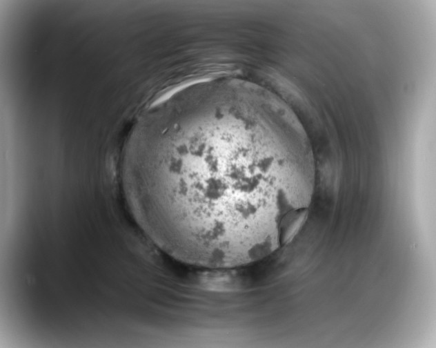 X0000088370373200706051046