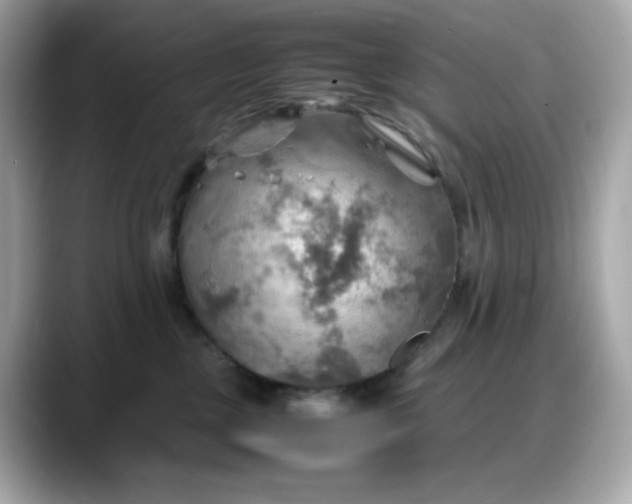 X0000088370377200706051046