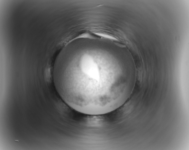 X0000088370378200706051046