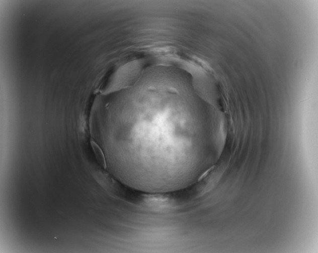 X0000088370380200706051046