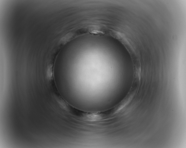X0000088370383200706051046