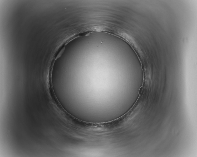 X0000088370386200706051045