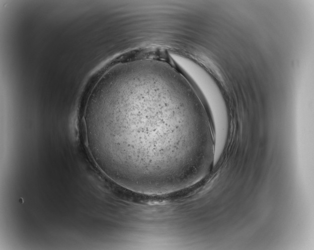 X0000088370388200706051045