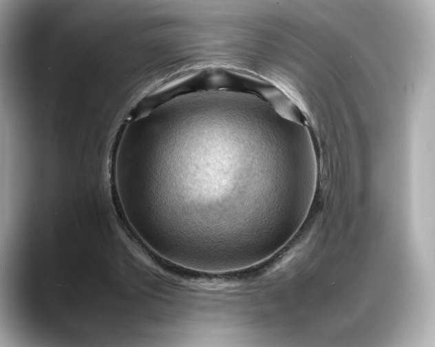X0000088370389200706051045