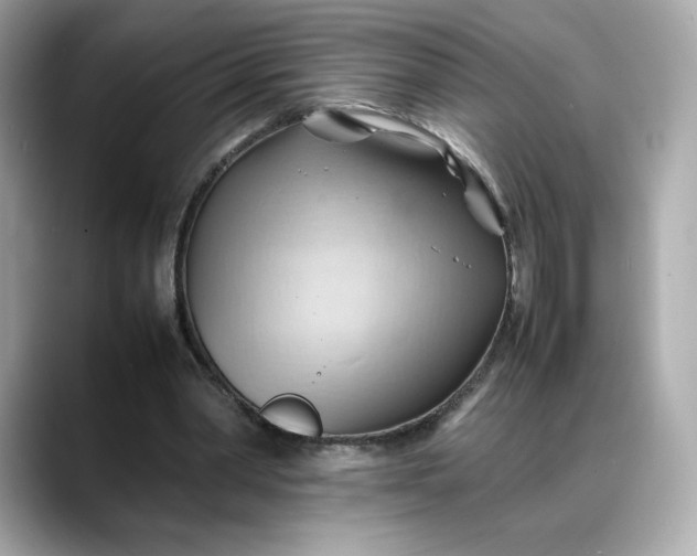 X0000088370390200706051045