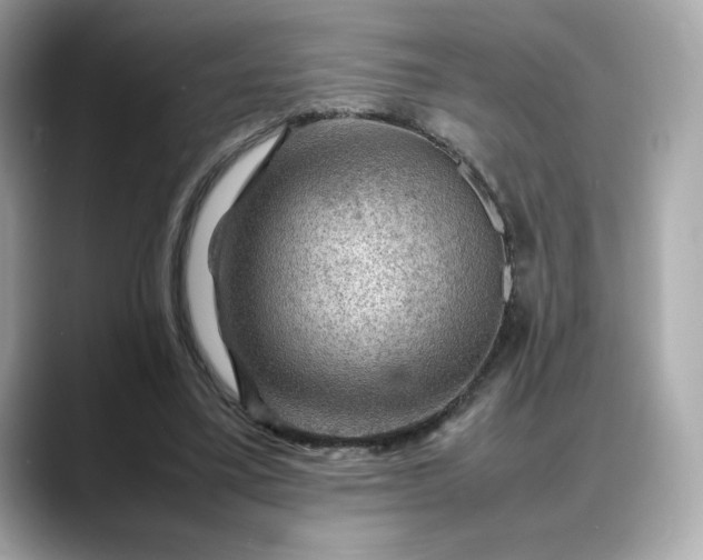 X0000088370395200706051045