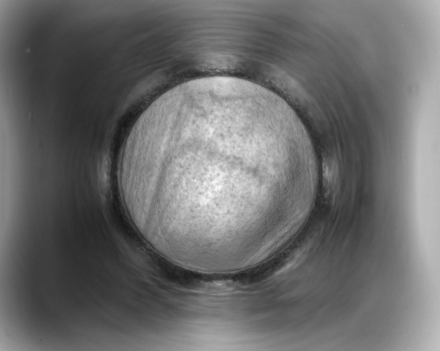 X0000088370396200706051045