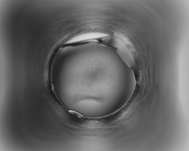 X0000088370399200706051045