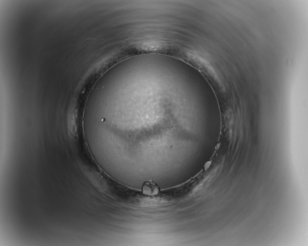 X0000088370400200706051045
