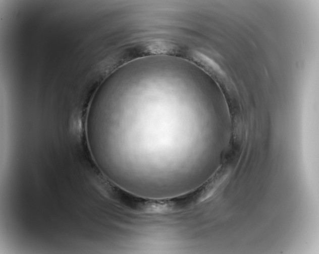 X0000088370405200706051045
