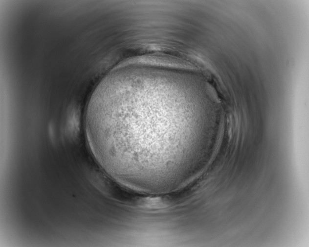 X0000088370406200706051045