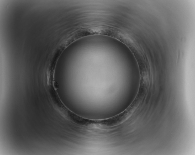 X0000088370408200706051045