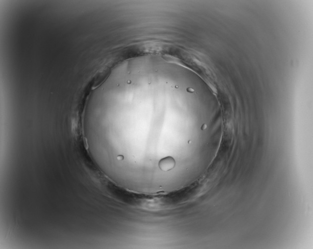 X0000088370411200706051045