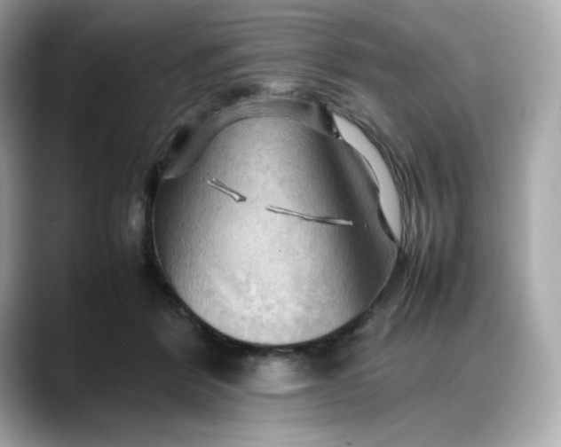 X0000088370412200706051045