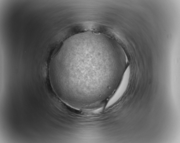 X0000088370413200706051045