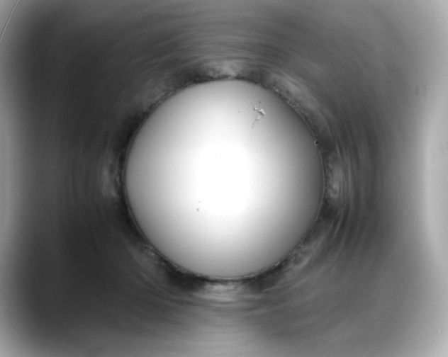 X0000088370414200706051045