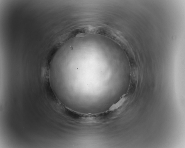 X0000088370419200706051045