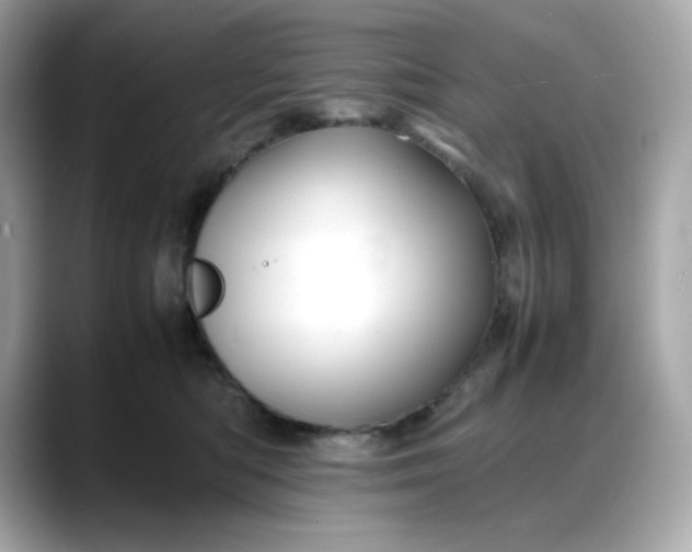 X0000088370422200706051045