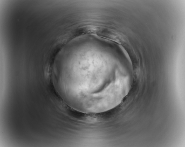 X0000088370423200706051045