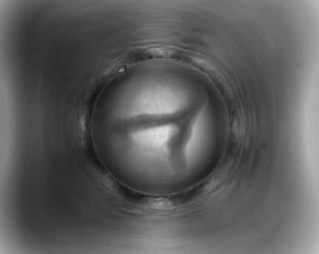 X0000088370424200706051045
