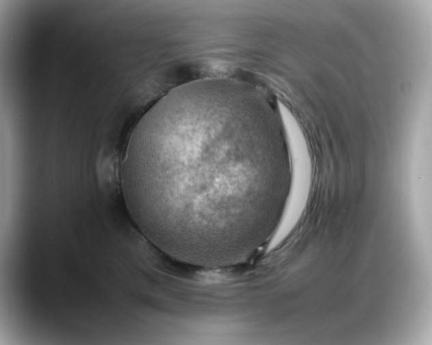 X0000088370425200706051045
