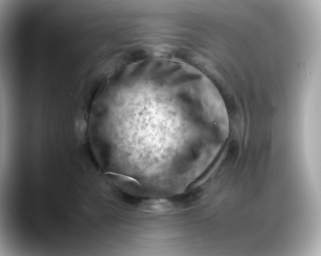 X0000088370427200706051045
