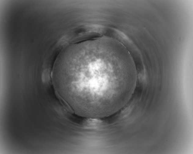 X0000088370429200706051045