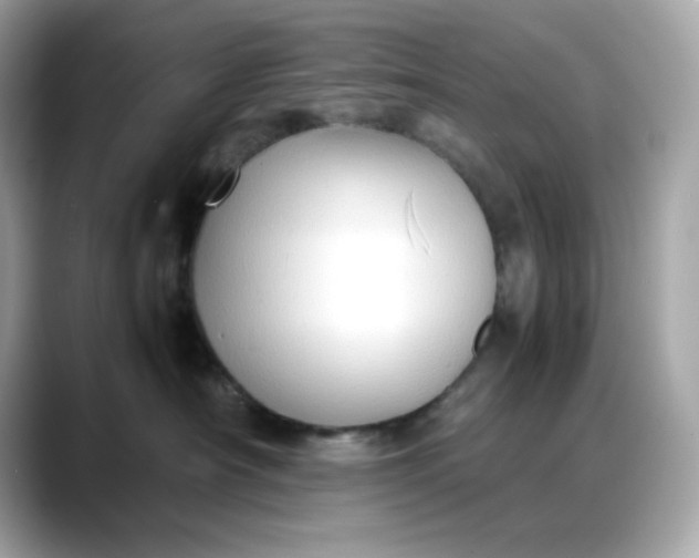 X0000088370430200706051045