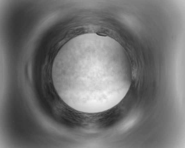 X0000088370431200706051045