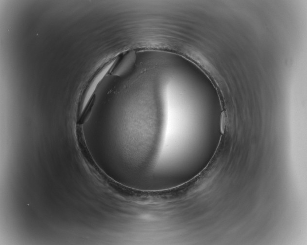 X0000088370434200706051044