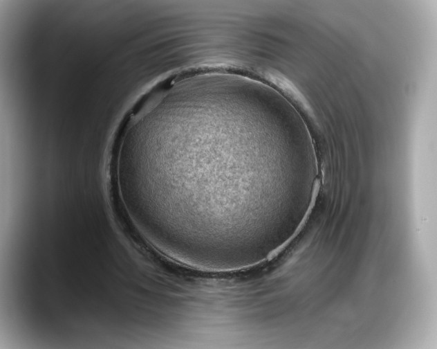 X0000088370436200706051044